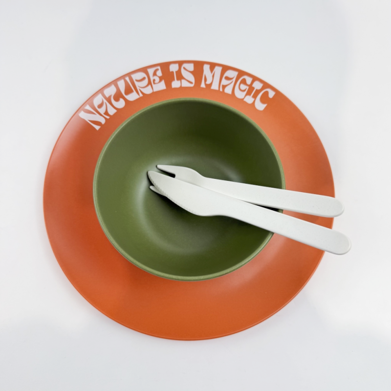Plate Front View